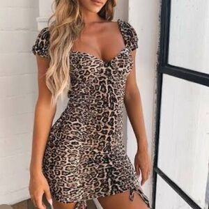 Tiger Mist Wild Print Mini Dress